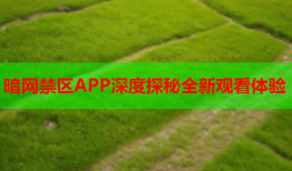 暗网禁区APP深度探秘全新观看体验