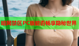 暗网禁区PC版能否畅享隐秘世界