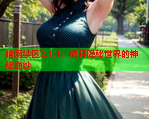 暗网禁区2.1.1：揭开隐秘世界的神秘面纱