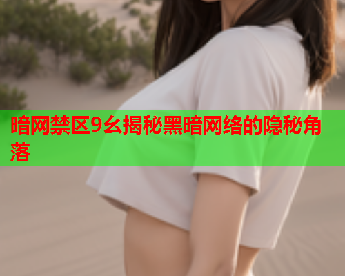 暗网禁区9幺揭秘黑暗网络的隐秘角落