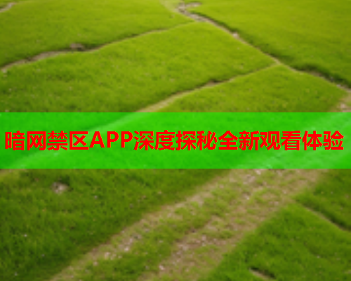 暗网禁区APP深度探秘全新观看体验