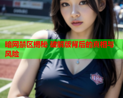 暗网禁区揭秘 破解版背后的真相与风险