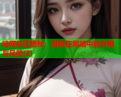 暗网禁区揭秘：潜藏在黑暗中的真相与风险(2)