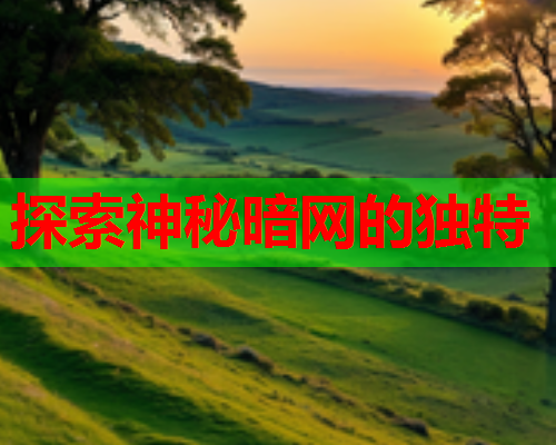 探索神秘暗网的独特